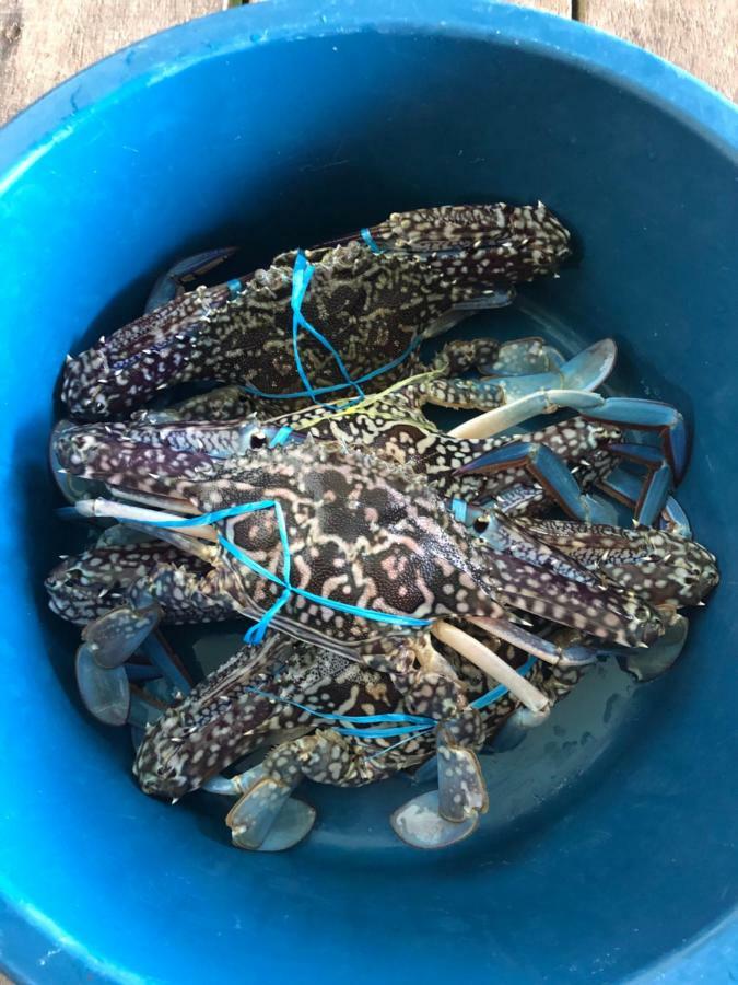 Spheredivers Scuba & Leisure Mabul Island Luaran gambar
